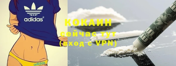 гидра Алексин
