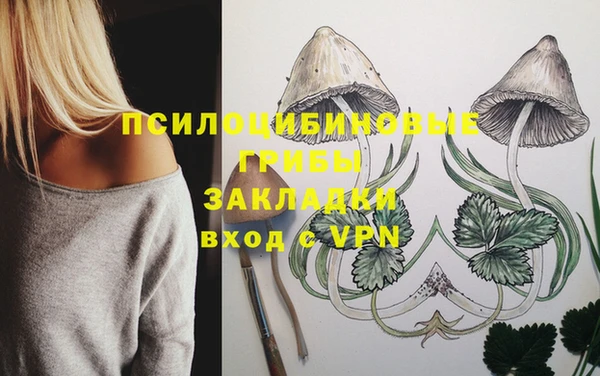 кристаллы Алзамай