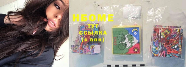 гидра Алексин